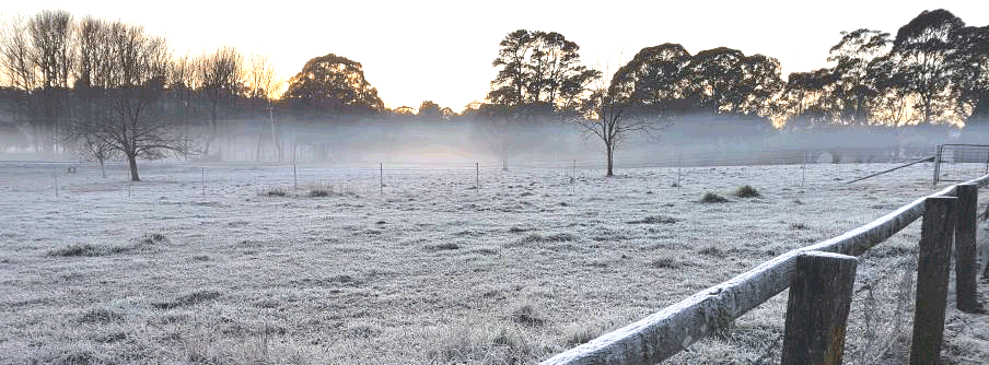 Cold Weather Precautions